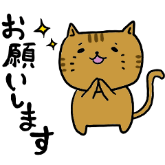 [LINEスタンプ] ねこまろの日常