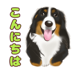 [LINEスタンプ] お空組さん③