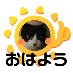 [LINEスタンプ] ルキ、ルンルン