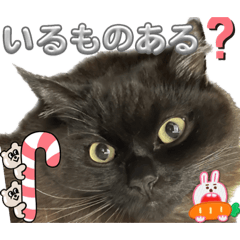 [LINEスタンプ] 黒猫 ルナ院長109にゃんめ