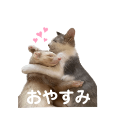 [LINEスタンプ] うちの子が1番と言う話をしています。