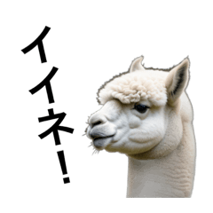 [LINEスタンプ] リアルなアルパカで会話の画像（メイン）