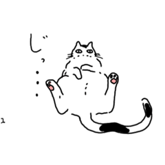 [LINEスタンプ] 白黒ねこの日常