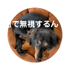 [LINEスタンプ] コツです