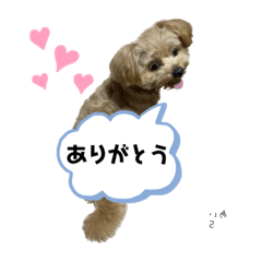 [LINEスタンプ] ももねぇさんとラテちゃん2