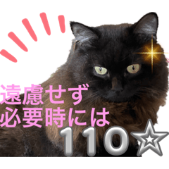 [LINEスタンプ] 黒猫 ルナ院長110にゃんめ