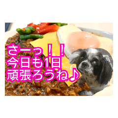 [LINEスタンプ] 食べ物LOVEシーズー