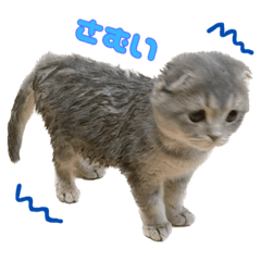 [LINEスタンプ] 晴れ時々みぞれのちスタンプ