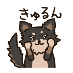 [LINEスタンプ] チワワりぼんちゃん