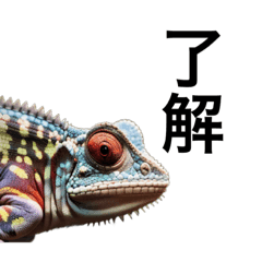 [LINEスタンプ] リアルなカメレオンで会話の画像（メイン）