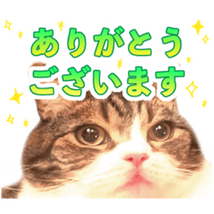 いそぎんちゃくもえび様02 | LINEスタンプ | ラグもふ