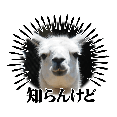 [LINEスタンプ] 動物スタンプその3