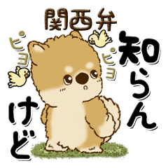 [LINEスタンプ] 柴犬・茶色い犬のちゃちゃ丸『関西弁』の画像（メイン）