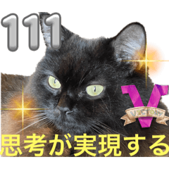 [LINEスタンプ] 黒猫 ルナ院長111にゃんめ