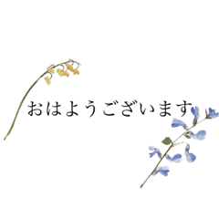 [LINEスタンプ] 敬語のお花スタンプ