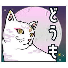 [LINEスタンプ] 白猫と月