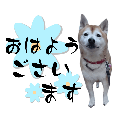[LINEスタンプ] 磨呂ティンスタンプの巻