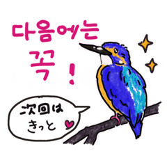 [LINEスタンプ] 誘い誘われ文句を韓国語/日本語で野鳥が