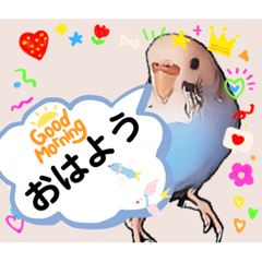 [LINEスタンプ] セキセイインコのあおちゃんです