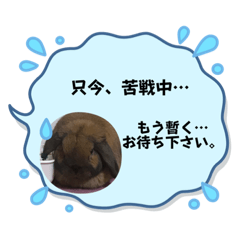 [LINEスタンプ] ぷぷ 忙しい日常