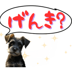 [LINEスタンプ] かわいい犬と猫のスタンプ♪