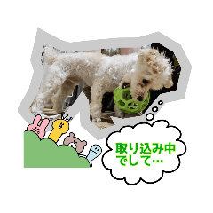 [LINEスタンプ] ふうsp5