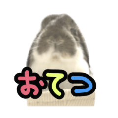 [LINEスタンプ] おせしゅ