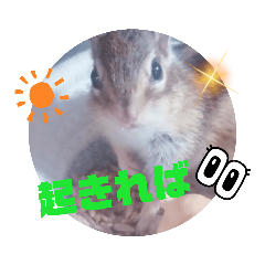 [LINEスタンプ] みんなと一緒 26