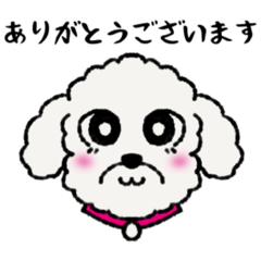 [LINEスタンプ] 白いプードル・αversion