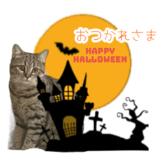 [LINEスタンプ] モカとビスのご機嫌な毎日 ハロウィン編