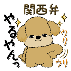[LINEスタンプ] プードル犬『関西弁』の画像（メイン）