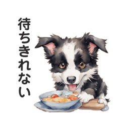 [LINEスタンプ] 水彩画風ボーダーコリーの日常会話