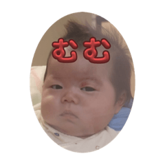 [LINEスタンプ] わかうらはるきのスタンプ