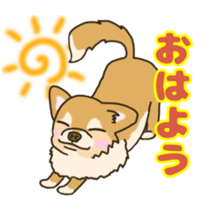 [LINEスタンプ] おだやかけいちゃん