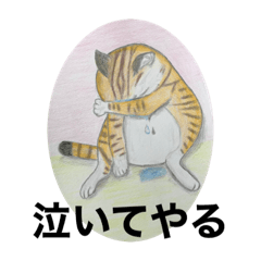 [LINEスタンプ] おおさかねこちゃん5