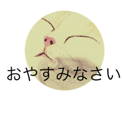 [LINEスタンプ] おおさかねこちゃん3