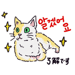 [LINEスタンプ] うちの猫と韓国語（日本語訳あり）修正版