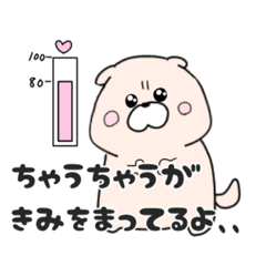 [LINEスタンプ] ちゃうちゃうのえぶりでい