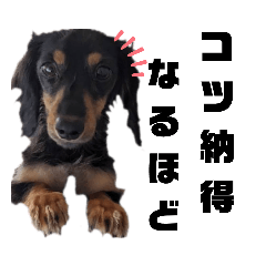 [LINEスタンプ] コツ3の画像（メイン）