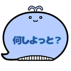 [LINEスタンプ] くじらくん吹き出しスタンプ福岡弁博多弁02