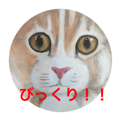 [LINEスタンプ] おおさかねこちゃん4