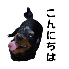 [LINEスタンプ] 北斗たちの挨拶の画像（メイン）