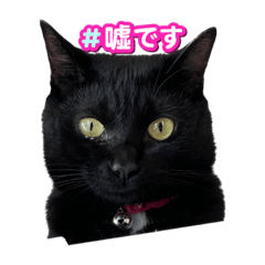 [LINEスタンプ] イタズラなびちゃん