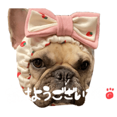 [LINEスタンプ] むぎちと愉快な仲間達3(敬語ver)