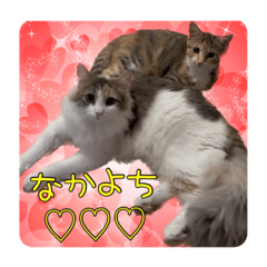 [LINEスタンプ] なかよしこよし❤️ユズモモ