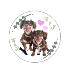 [LINEスタンプ] ♡チワックスのテテ氏とティムたん