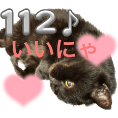 [LINEスタンプ] 黒猫 ルナ院長112にゃんめ