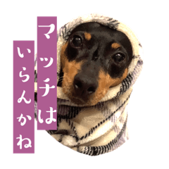[LINEスタンプ] ナナのスタンプ その1