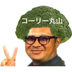 [LINEスタンプ] ブロッコリー船団！