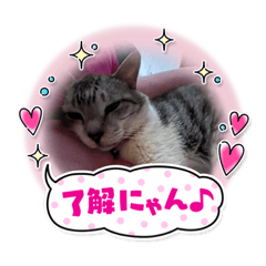 [LINEスタンプ] PURA Love